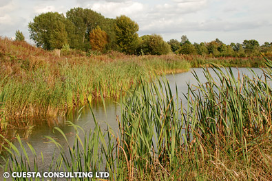 Watermead wetland restoration (2007) (c) Cuesta Consulting Ltd